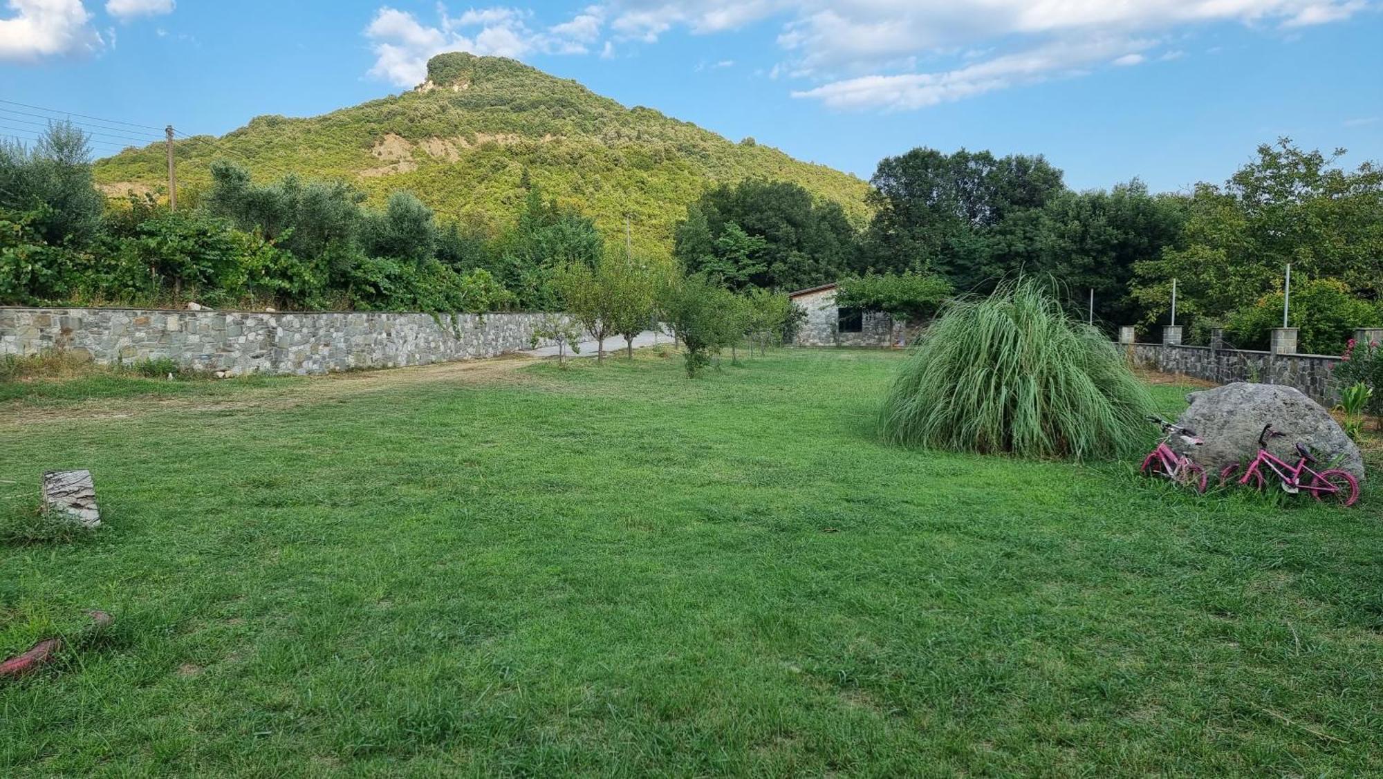 House With Big Garden And Barbeque In Nature Vourgareli Exterior foto