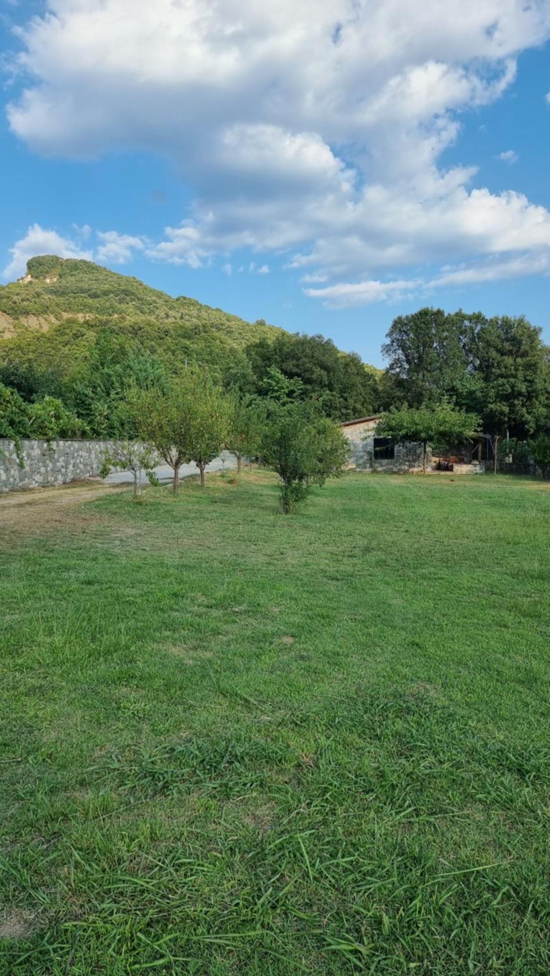 House With Big Garden And Barbeque In Nature Vourgareli Exterior foto